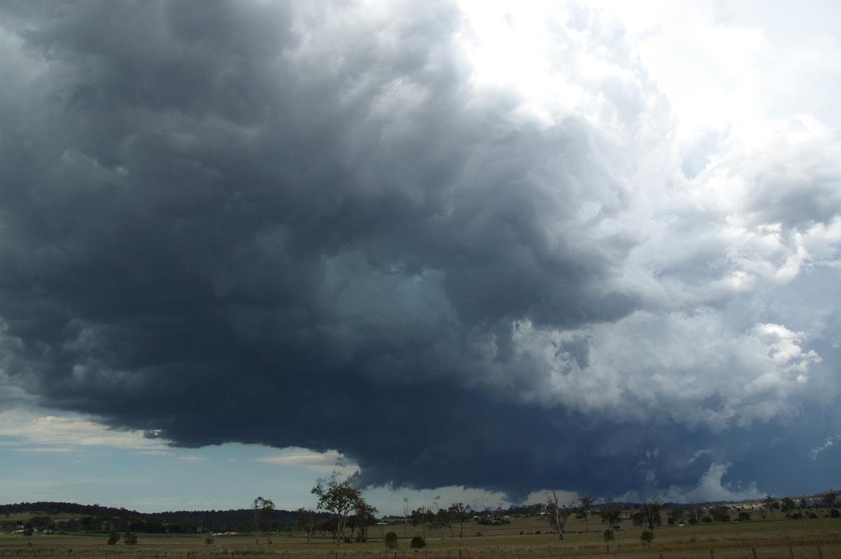 cumulonimbus thunderstorm_base : Beaudesert, QLD   16 November 2008