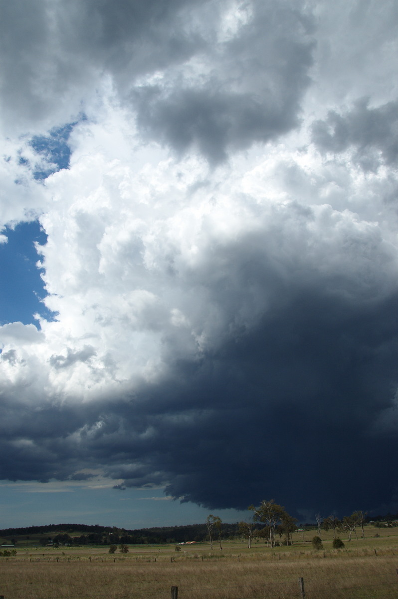 cumulonimbus thunderstorm_base : Beaudesert, QLD   16 November 2008