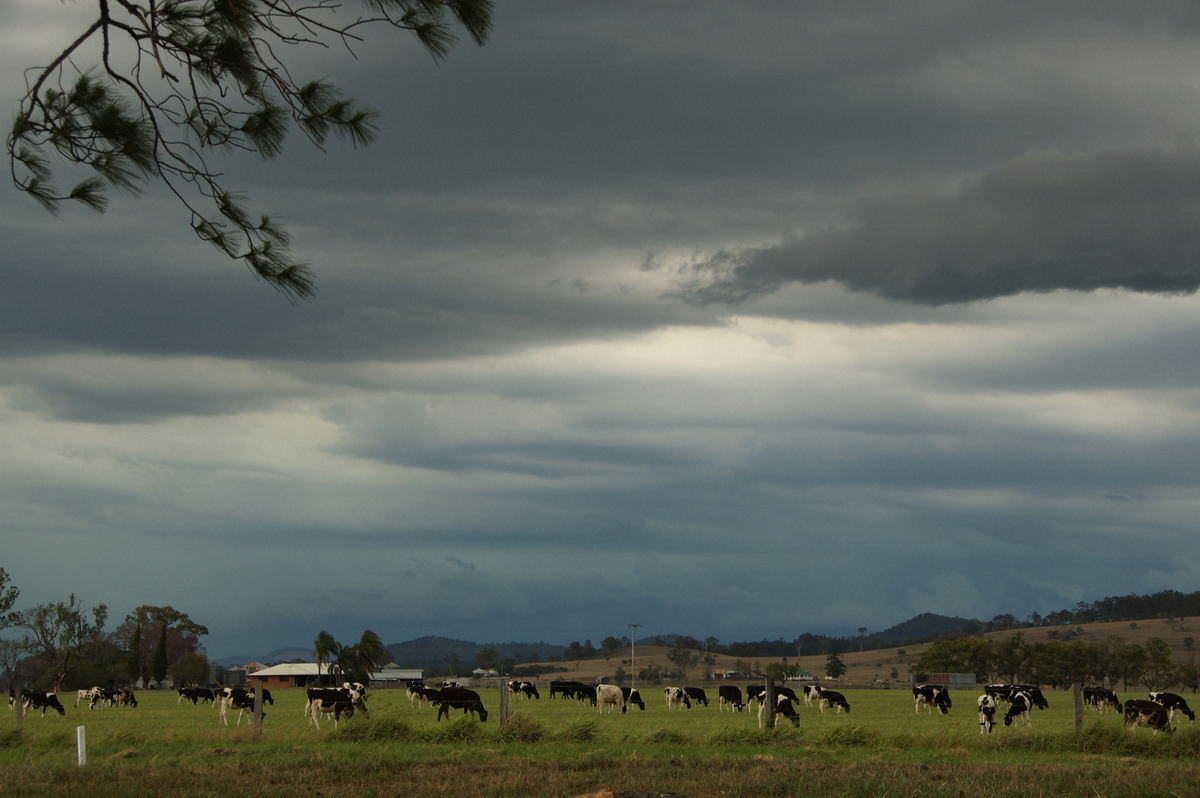 cumulonimbus thunderstorm_base : Beaudesert, QLD   16 November 2008