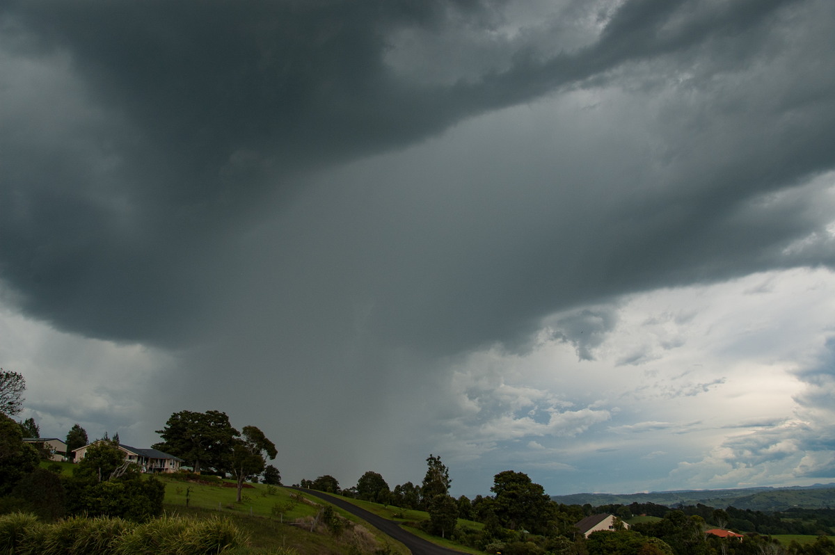 raincascade precipitation_cascade : McLeans Ridges, NSW   20 November 2008