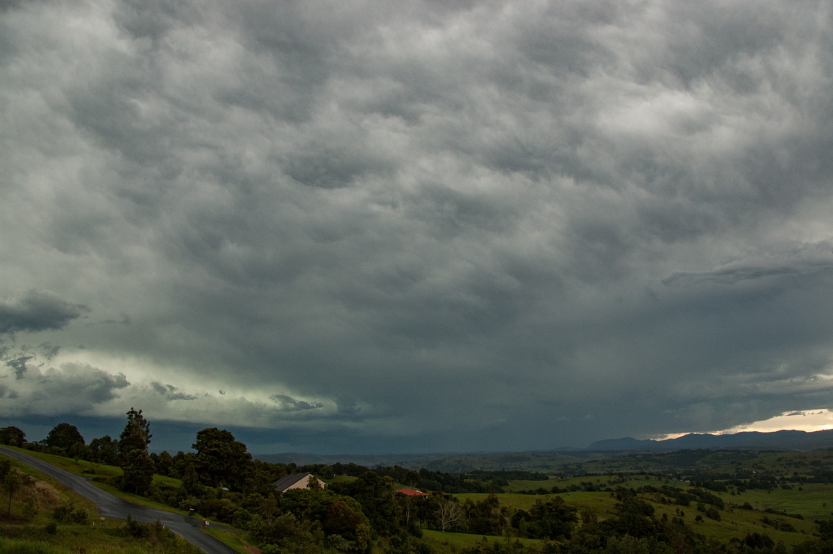 cumulonimbus thunderstorm_base : McLeans Ridges, NSW   20 November 2008