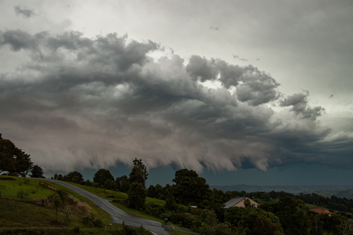 shelfcloud shelf_cloud : McLeans Ridges, NSW   20 November 2008