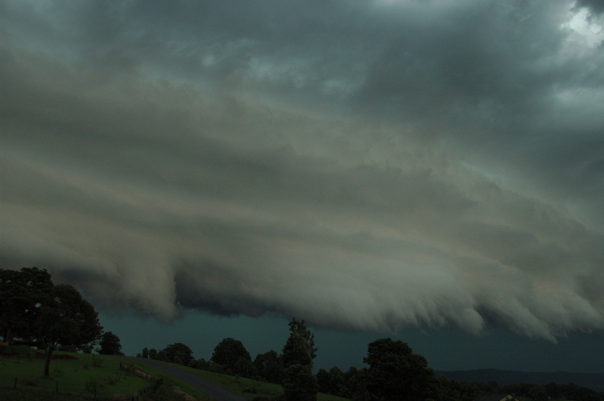 shelfcloud shelf_cloud : McLeans Ridges, NSW   20 November 2008