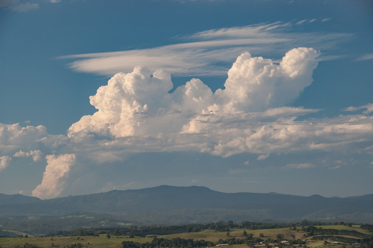 favourites michael_bath : McLeans Ridges, NSW   2 December 2008