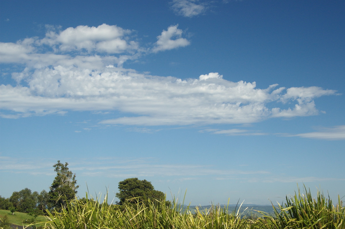 altocumulus castellanus : McLeans Ridges, NSW   3 December 2008