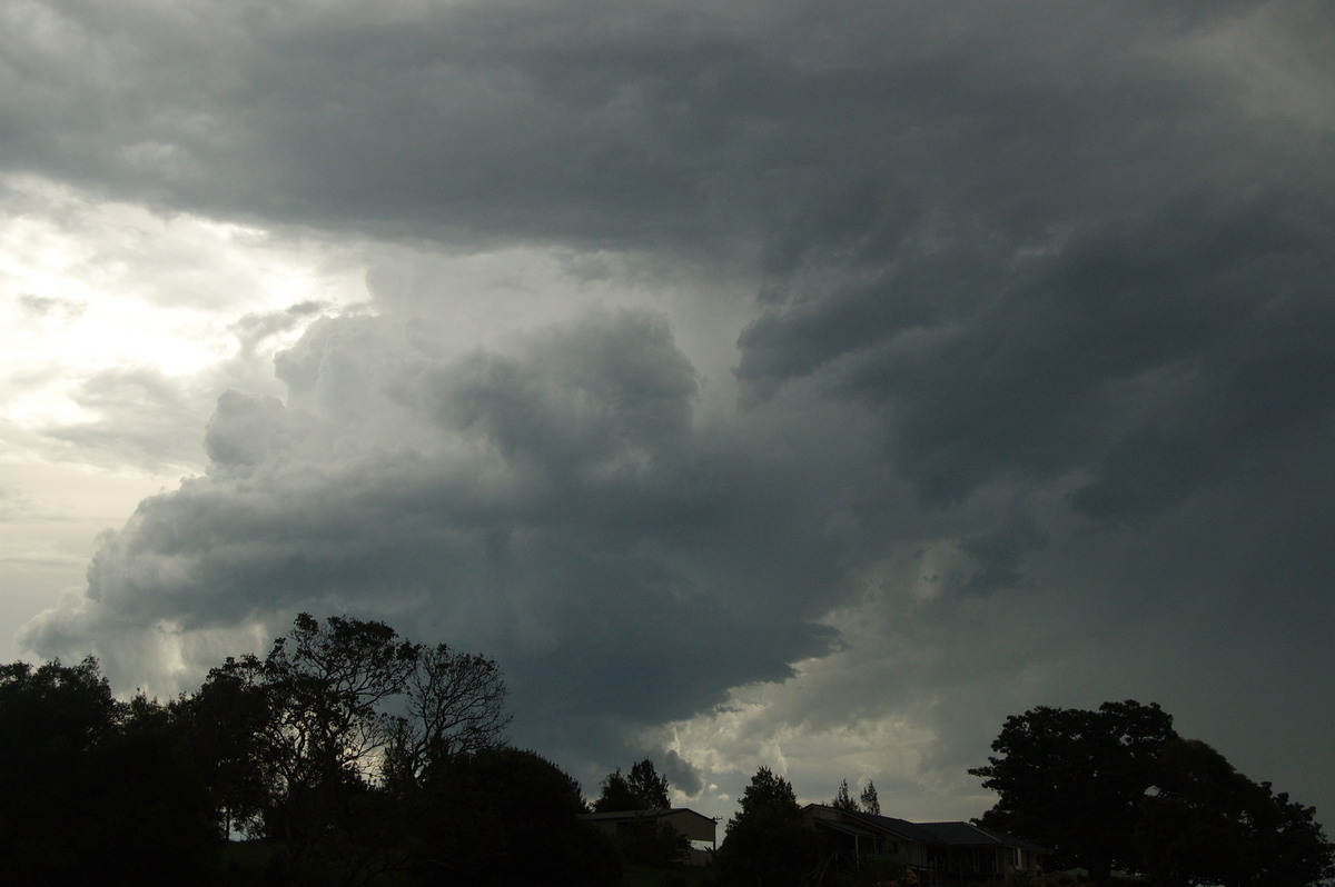 cumulonimbus thunderstorm_base : McLeans Ridges, NSW   3 December 2008