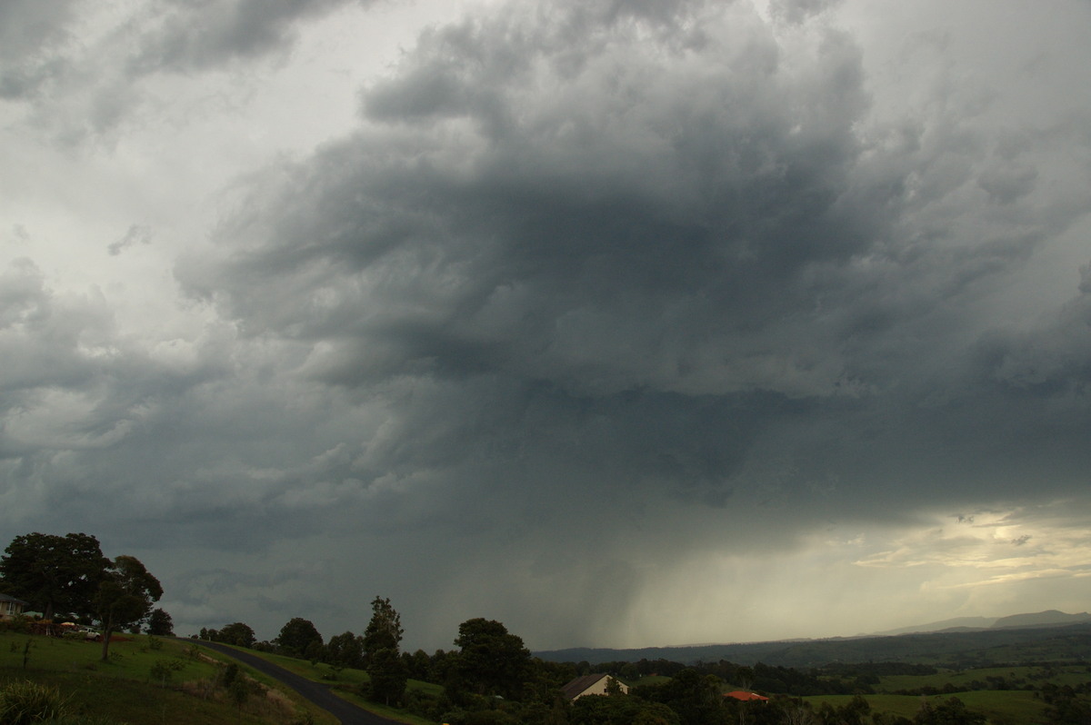 cumulonimbus thunderstorm_base : McLeans Ridges, NSW   3 December 2008