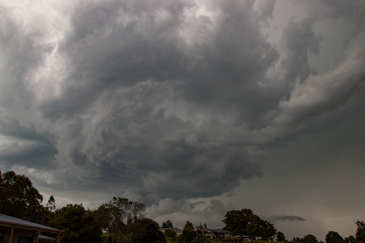 cumulonimbus thunderstorm_base : McLeans Ridges, NSW   3 December 2008