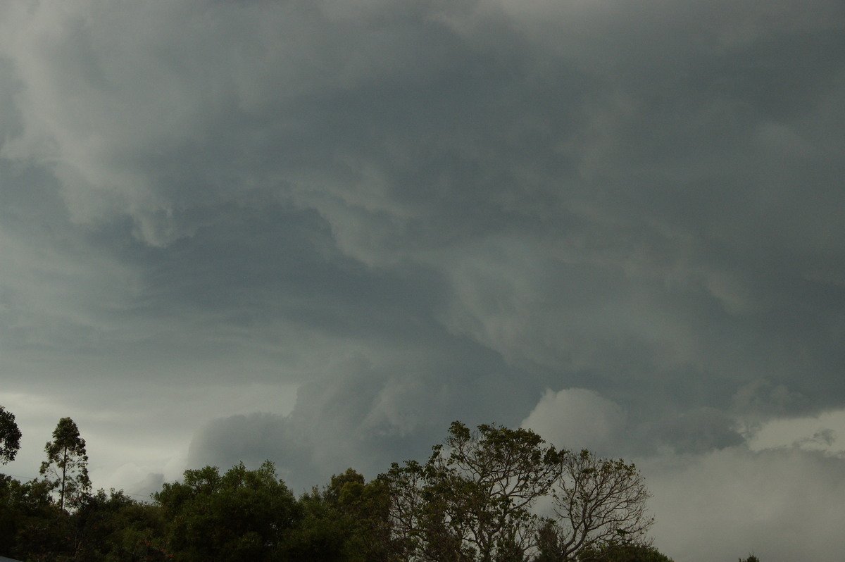 cumulonimbus thunderstorm_base : McLeans Ridges, NSW   3 December 2008