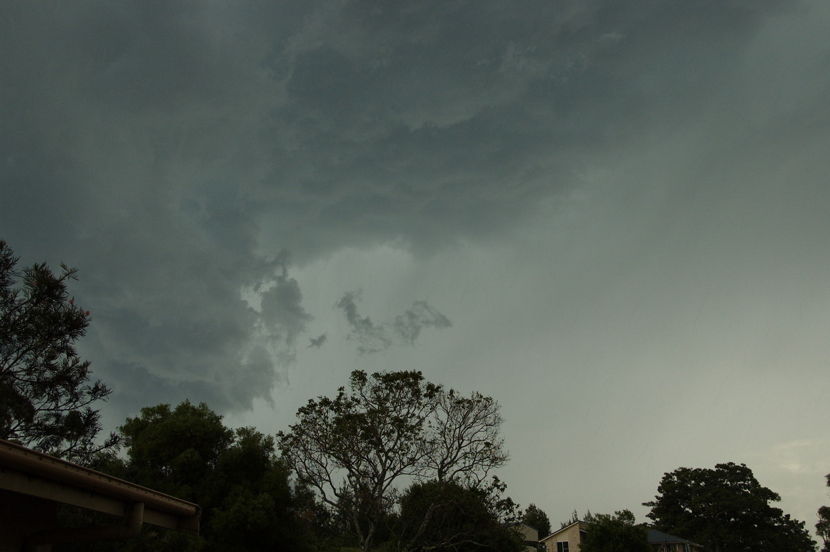 cumulonimbus thunderstorm_base : McLeans Ridges, NSW   3 December 2008