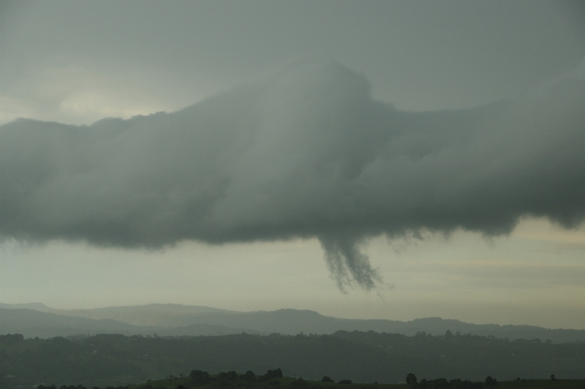 rollcloud roll_cloud : McLeans Ridges, NSW   3 December 2008