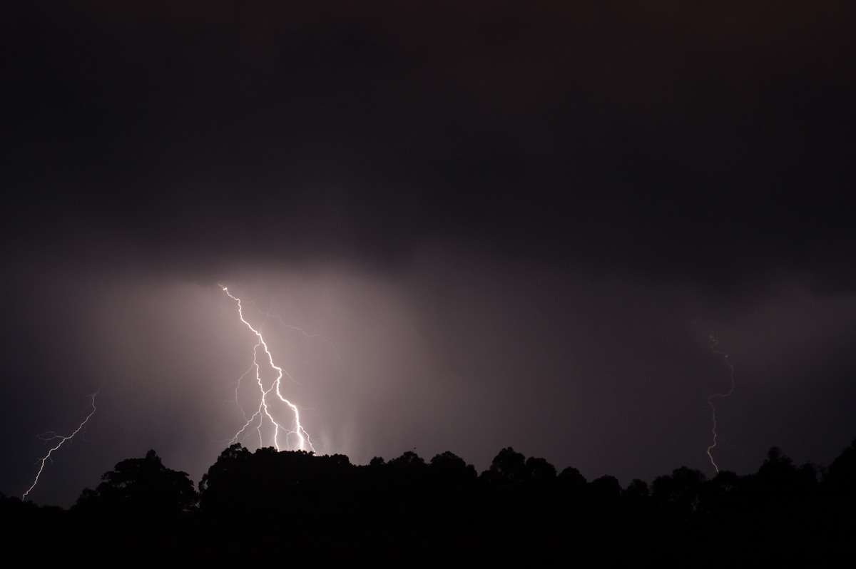 lightning lightning_bolts : McLeans Ridges, NSW   3 December 2008