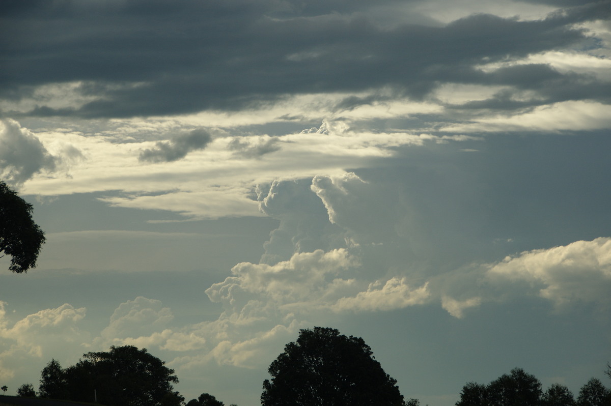 thunderstorm cumulonimbus_incus : McLeans Ridges, NSW   6 December 2008