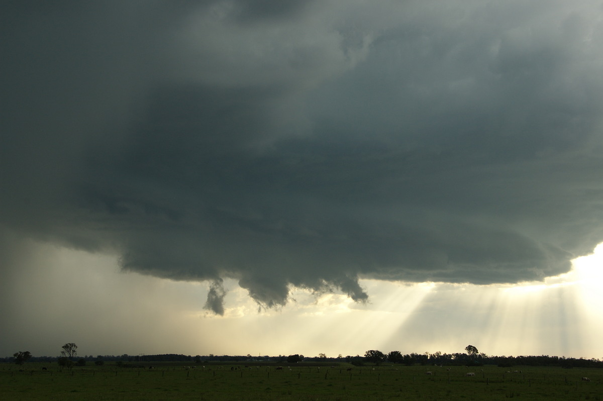 wallcloud thunderstorm_wall_cloud : McKees Hill, NSW   10 December 2008