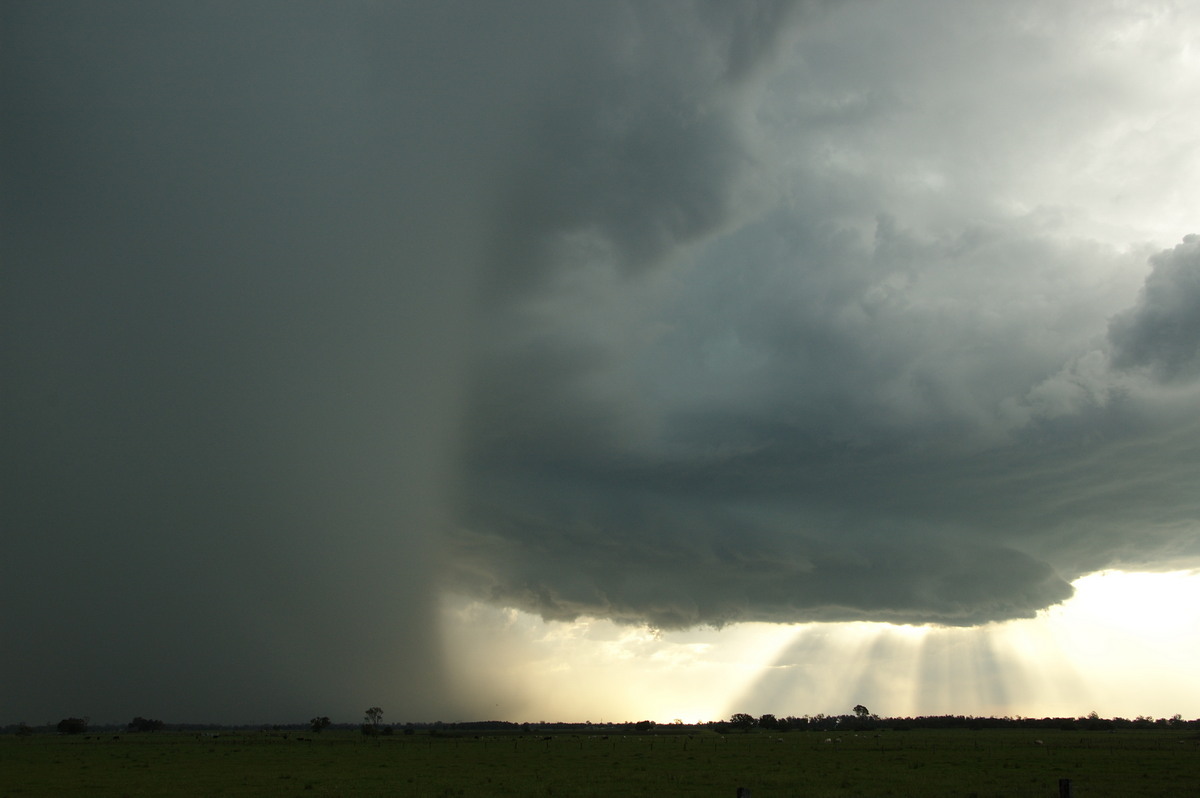 wallcloud thunderstorm_wall_cloud : McKees Hill, NSW   10 December 2008