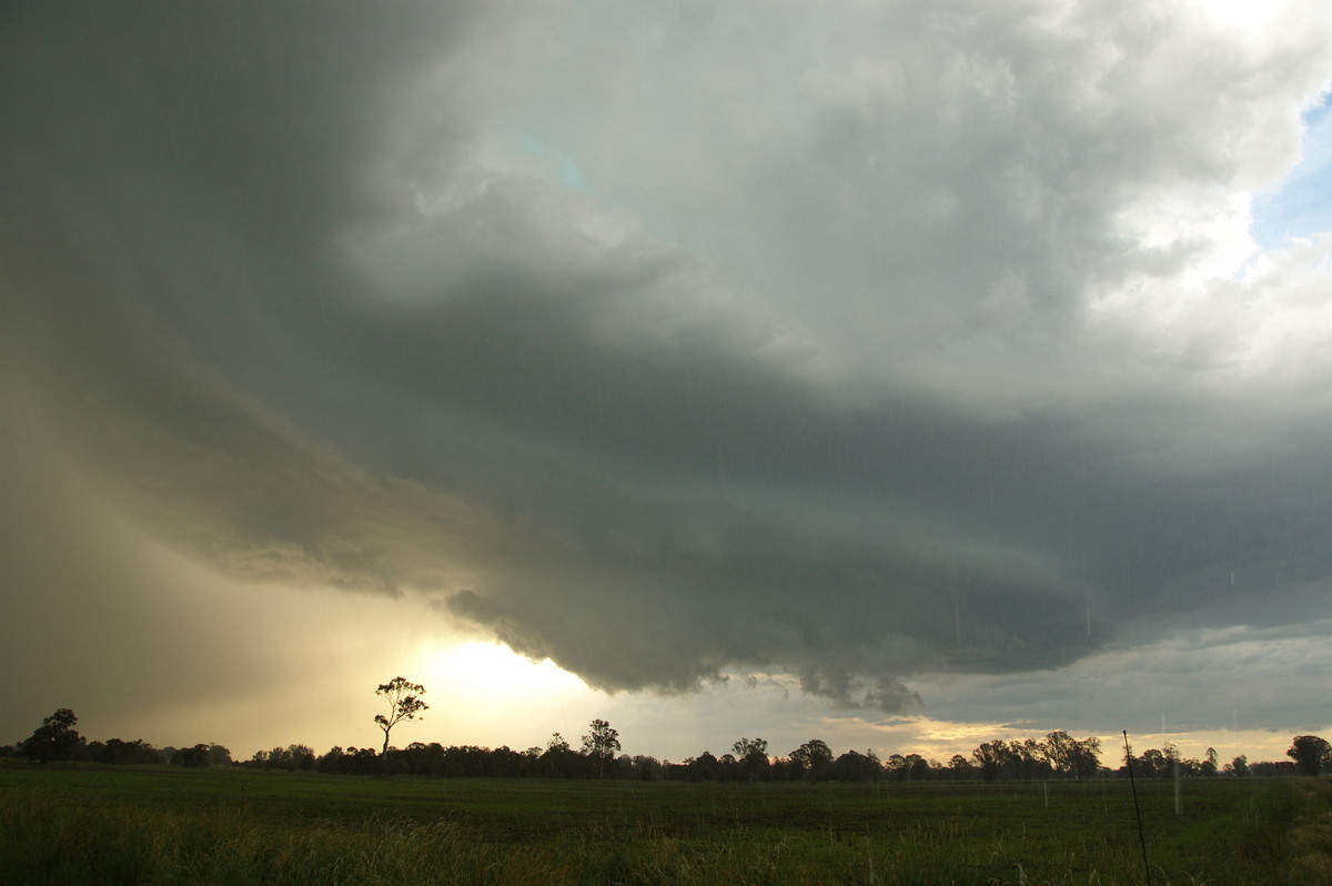 wallcloud thunderstorm_wall_cloud : McKees Hill, NSW   10 December 2008