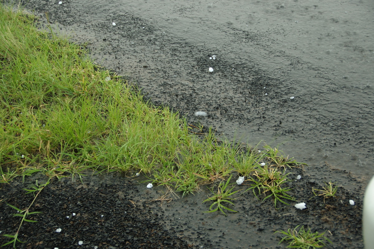 hailstones hail_stones : McKees Hill, NSW   10 December 2008