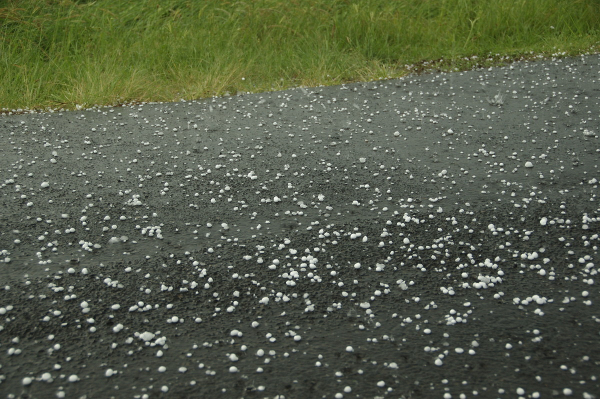 hailstones hail_stones : McKees Hill, NSW   10 December 2008