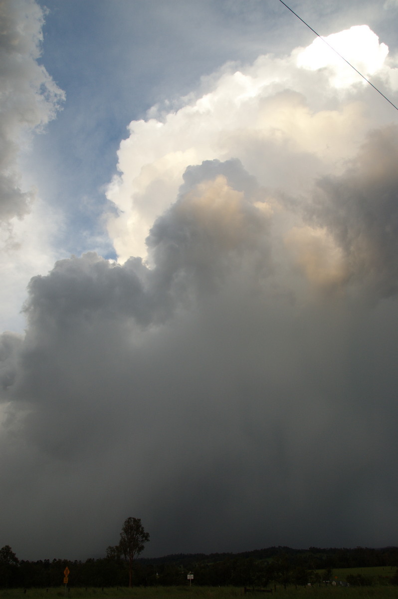 thunderstorm cumulonimbus_calvus : Clovass, NSW   10 December 2008