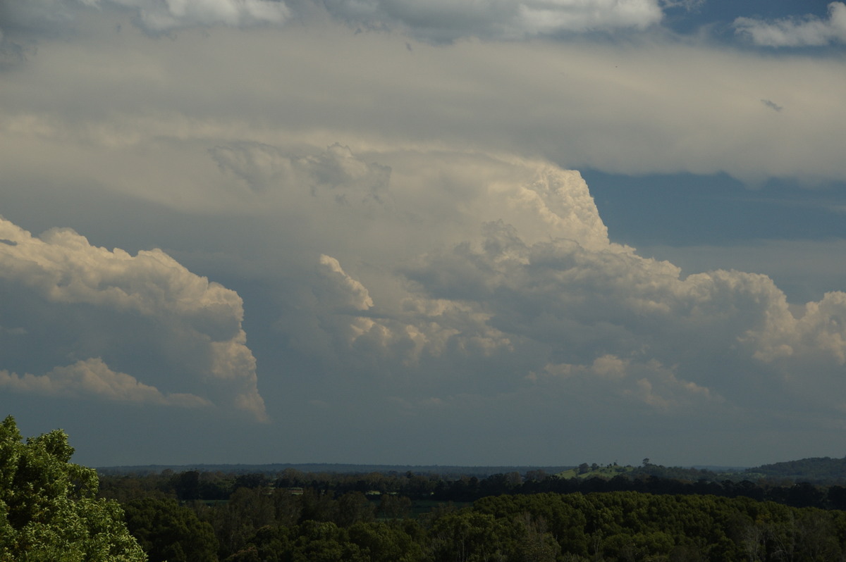 thunderstorm cumulonimbus_incus : Tuckurimba, NSW   18 December 2008