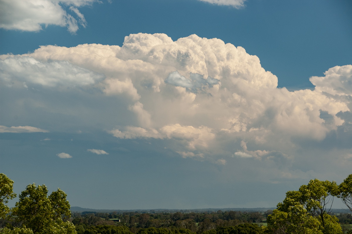 favourites michael_bath : Tuckurimba, NSW   18 December 2008