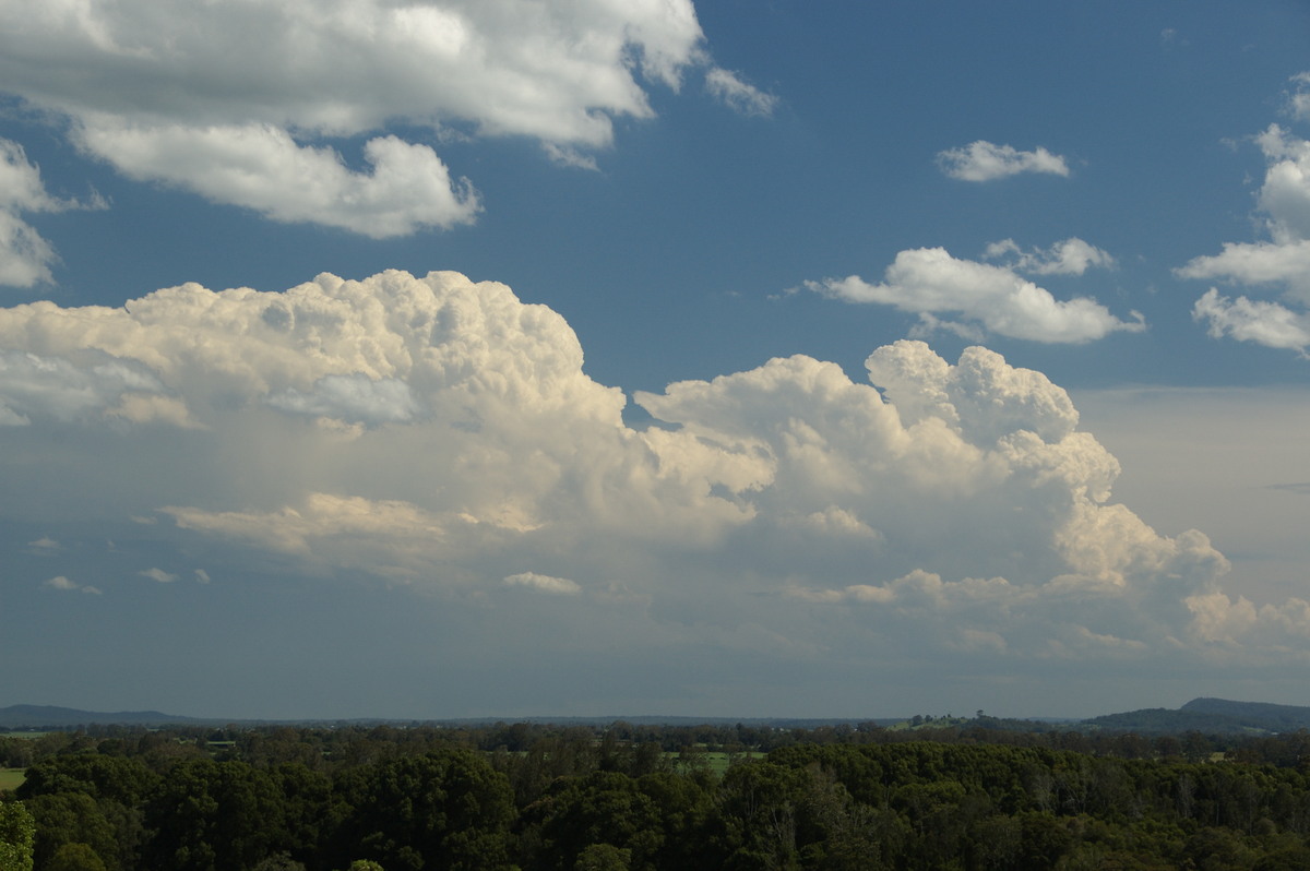 thunderstorm cumulonimbus_incus : Tuckurimba, NSW   18 December 2008