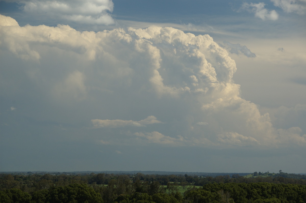 thunderstorm cumulonimbus_incus : Tuckurimba, NSW   18 December 2008