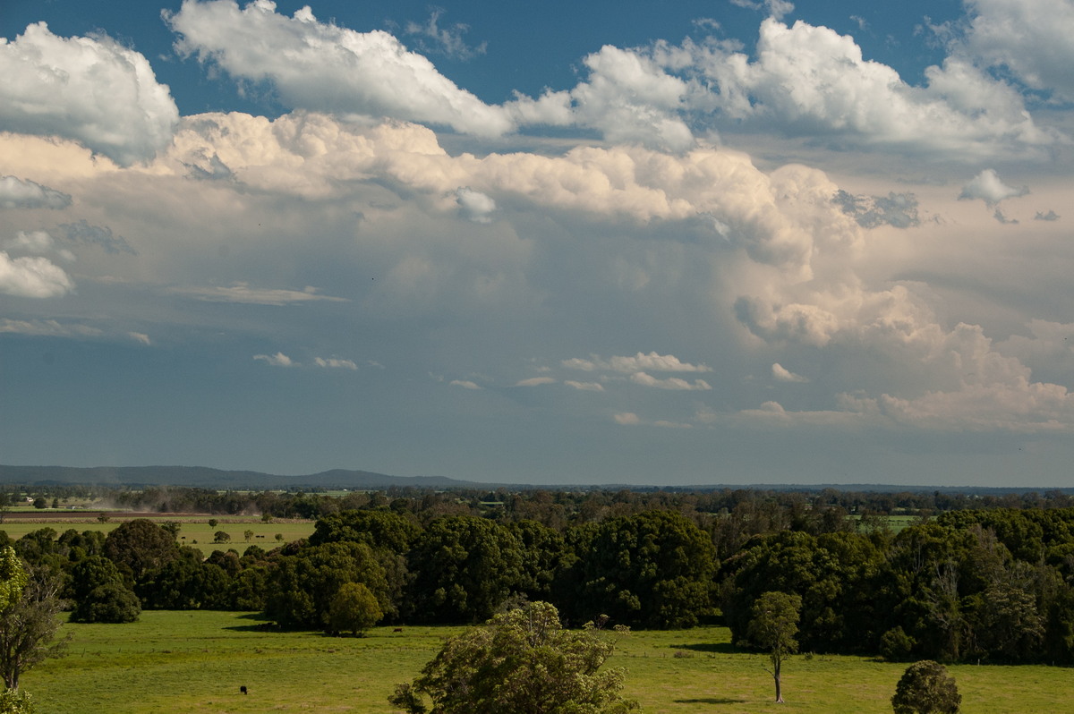 thunderstorm cumulonimbus_incus : Tuckurimba, NSW   18 December 2008