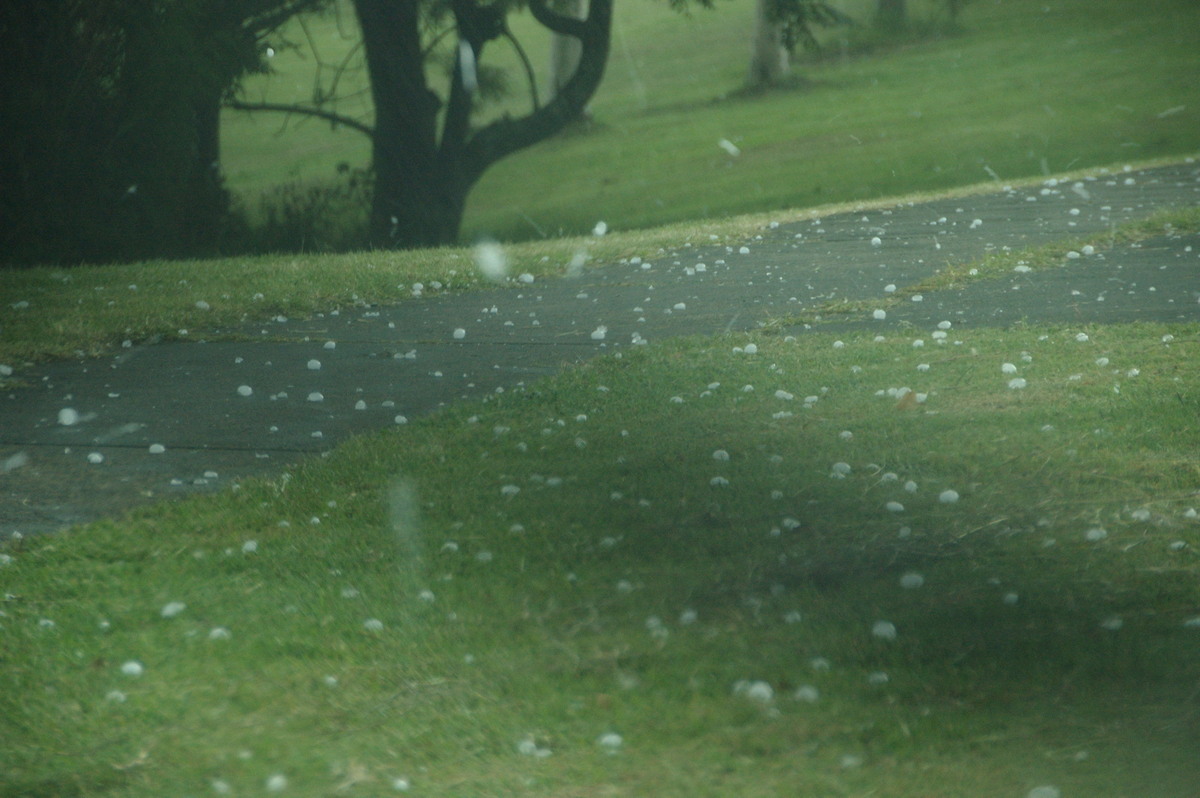 hailstones hail_stones : Kyogle, NSW   18 December 2008