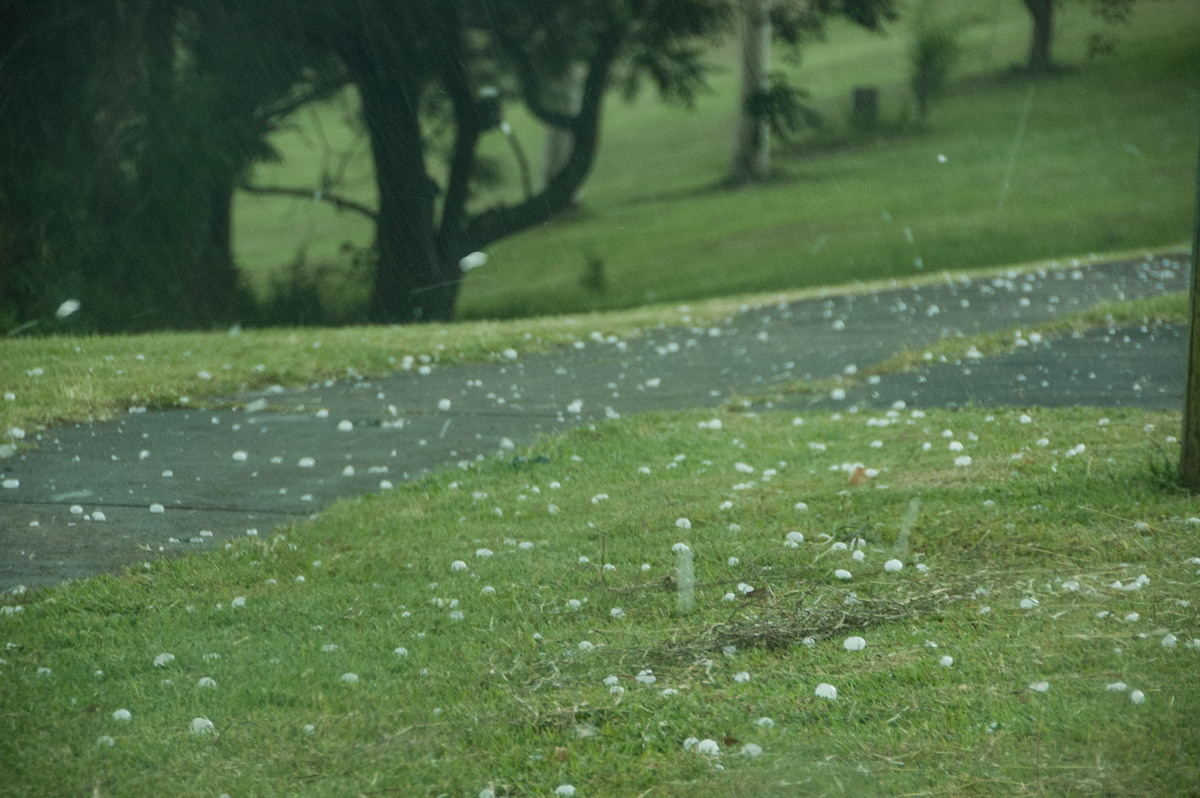 hailstones hail_stones : Kyogle, NSW   18 December 2008