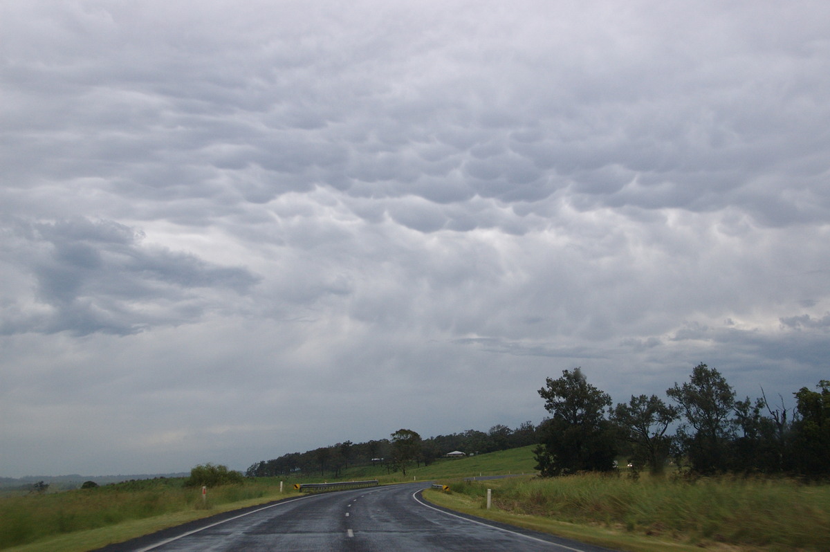 mammatus mammatus_cloud : Cedar Point, NSW   18 December 2008