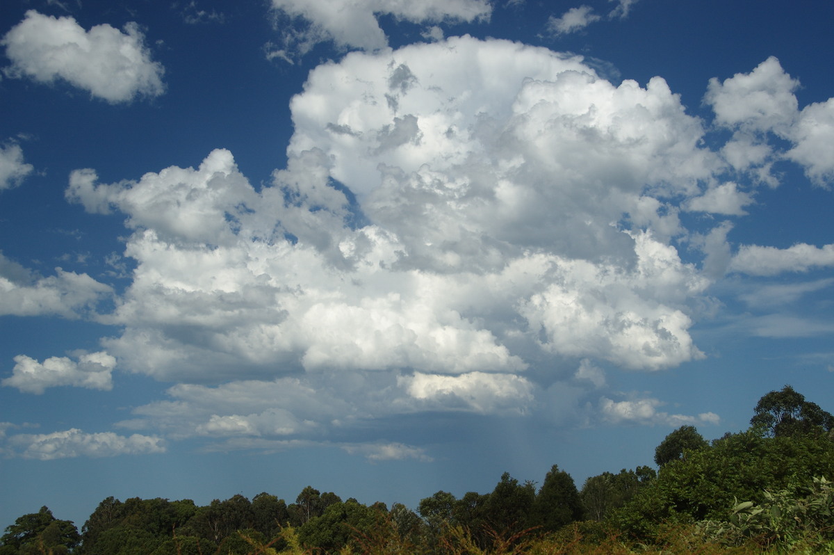 thunderstorm cumulonimbus_incus : McLeans Ridges, NSW   19 December 2008