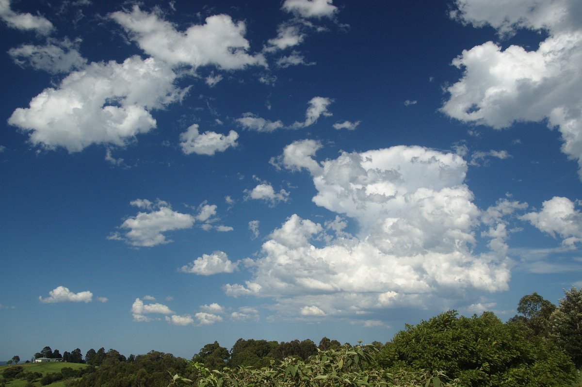 cumulus humilis : McLeans Ridges, NSW   19 December 2008