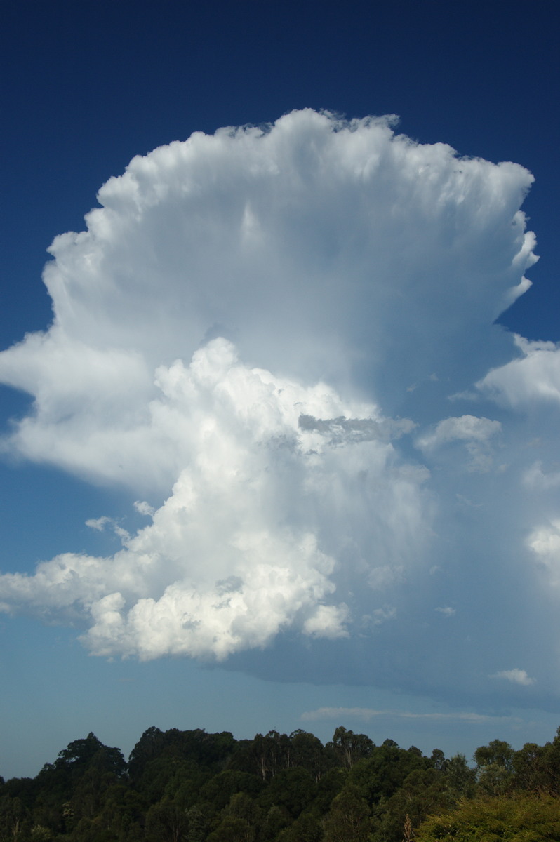 thunderstorm cumulonimbus_incus : McLeans Ridges, NSW   19 December 2008