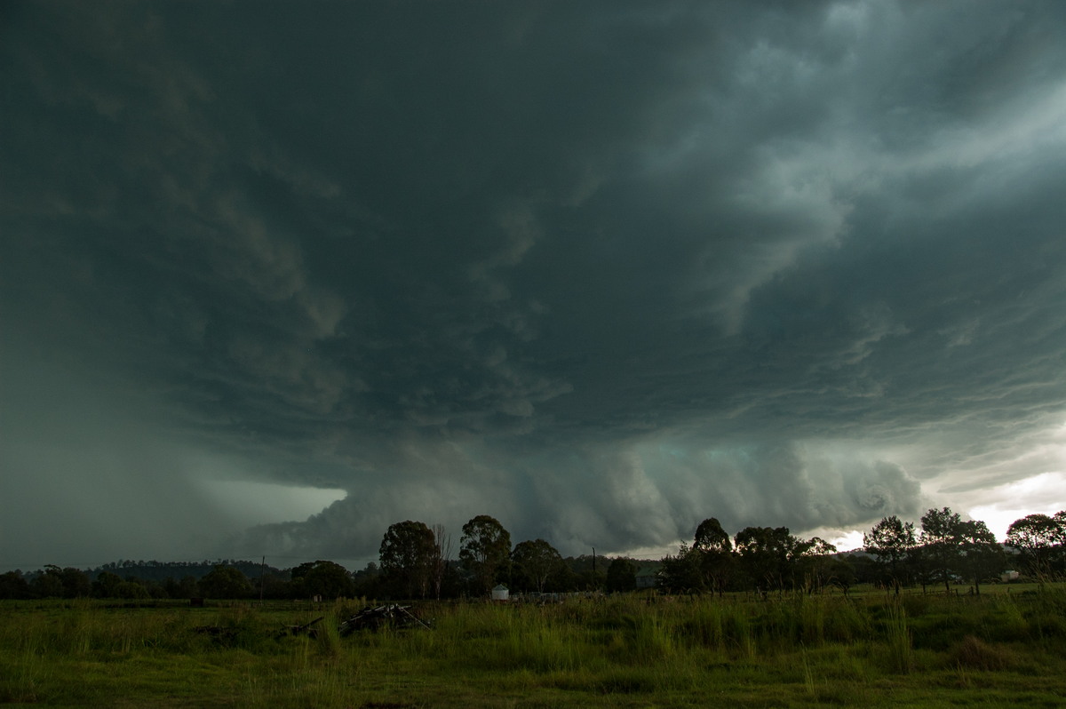 cumulonimbus thunderstorm_base : Kyogle, NSW   24 December 2008