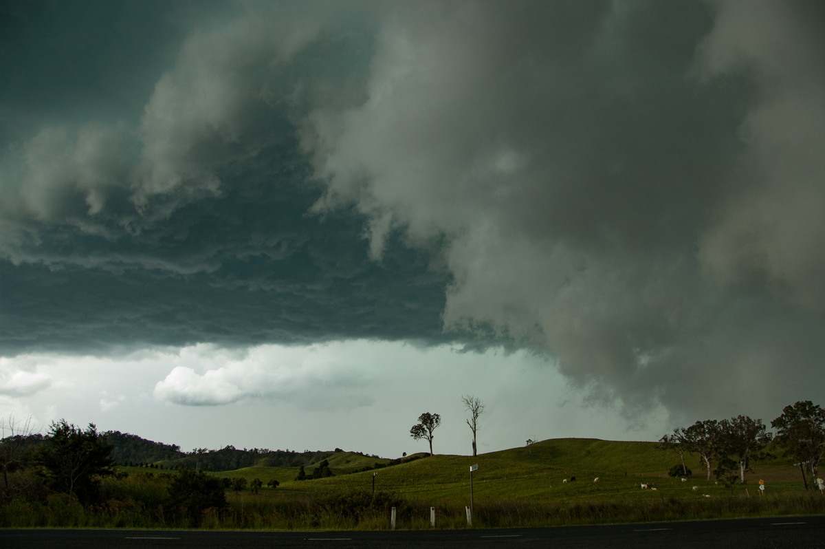 cumulonimbus thunderstorm_base : Kyogle, NSW   24 December 2008