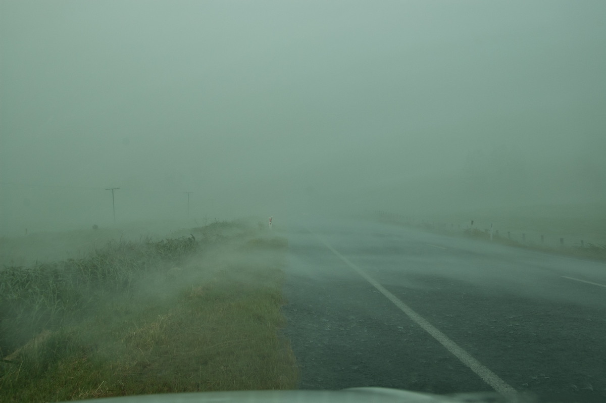 strongwind strong_wind : N of Kyogle, NSW   24 December 2008