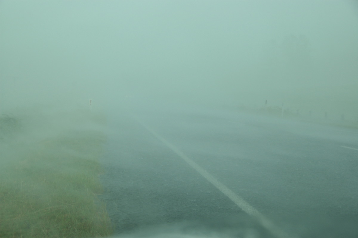 strongwind strong_wind : N of Kyogle, NSW   24 December 2008