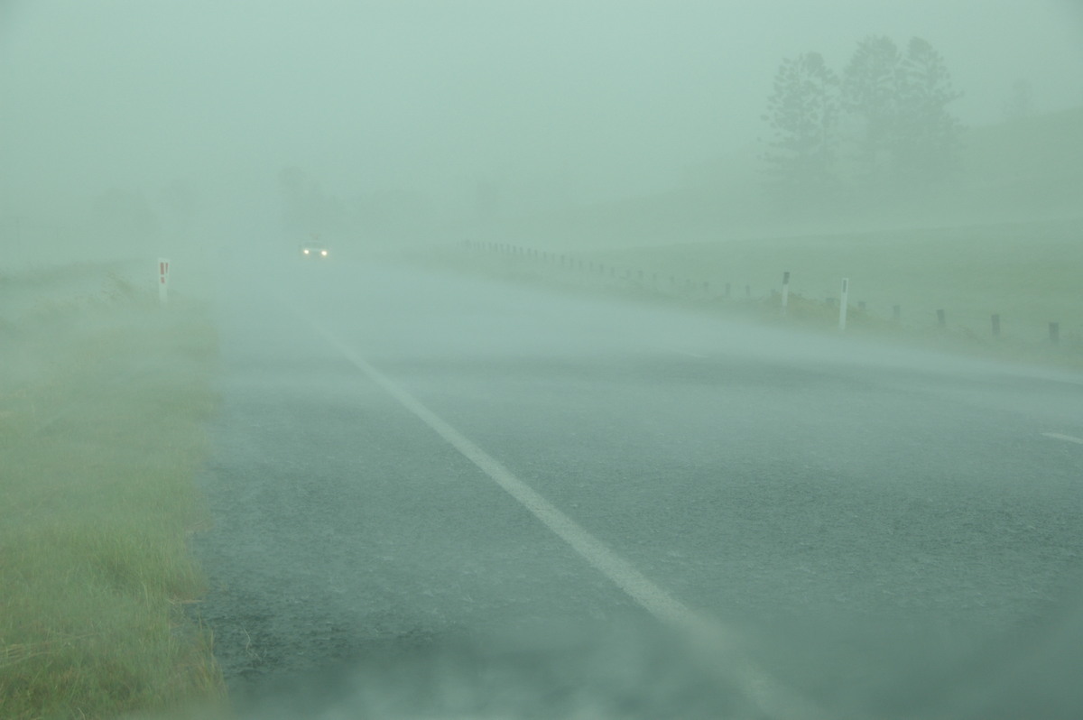 strongwind strong_wind : N of Kyogle, NSW   24 December 2008