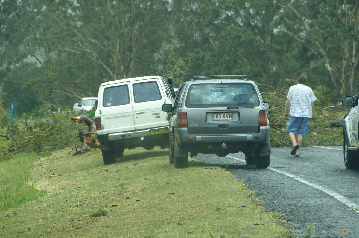 disasters storm_damage : N of Kyogle, NSW   24 December 2008