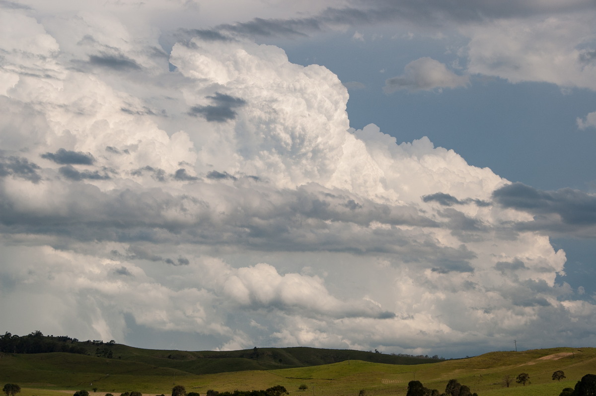 updraft thunderstorm_updrafts : Cedar Point, NSW   24 December 2008