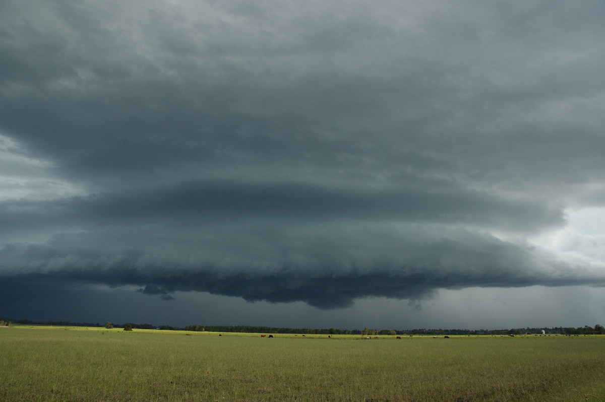 shelfcloud shelf_cloud : N of Casino, NSW   24 December 2008