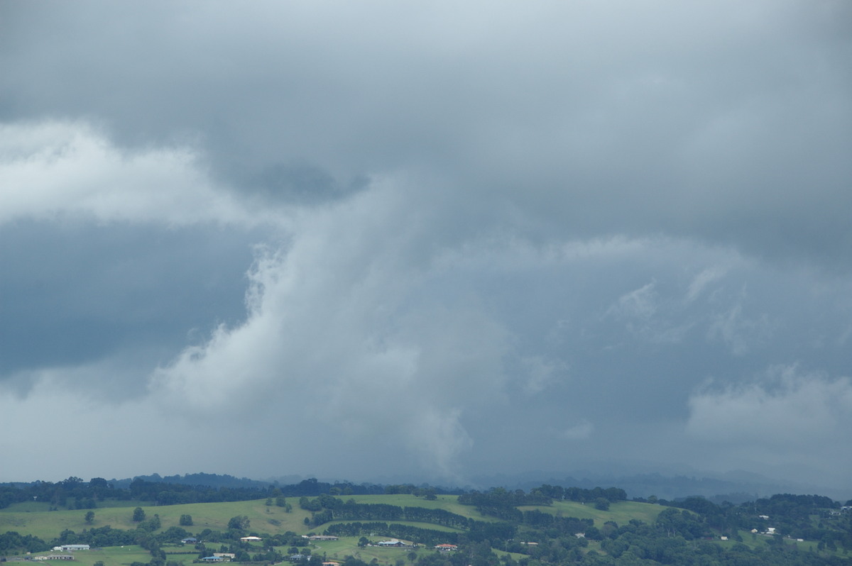 stratocumulus stratocumulus_cloud : McLeans Ridges, NSW   28 December 2008