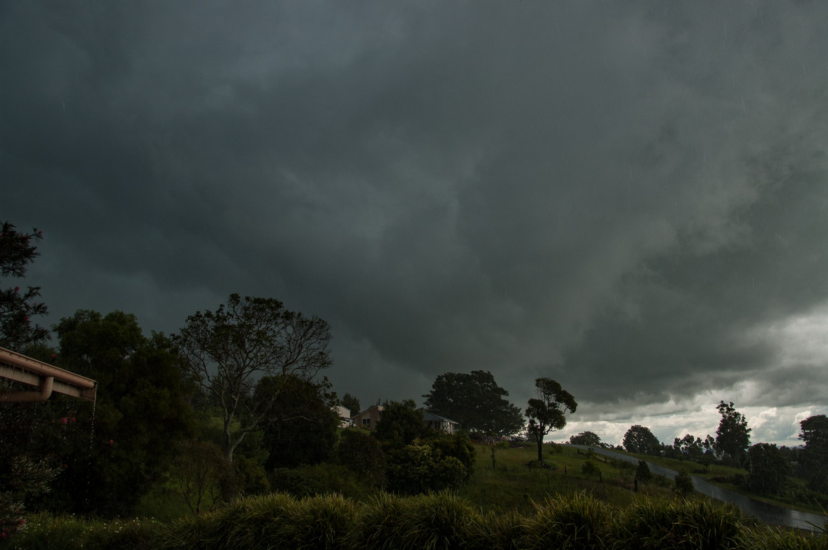 cumulonimbus thunderstorm_base : McLeans Ridges, NSW   28 December 2008