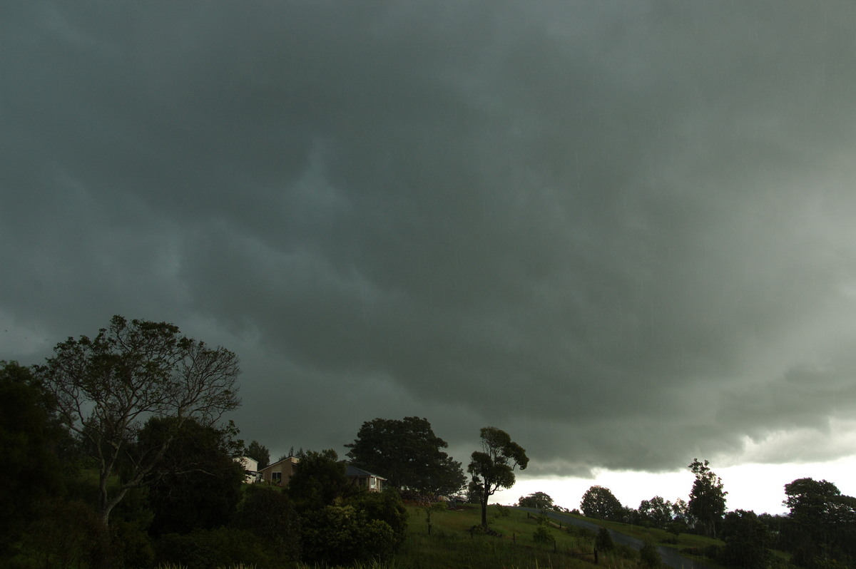 cumulonimbus thunderstorm_base : McLeans Ridges, NSW   28 December 2008