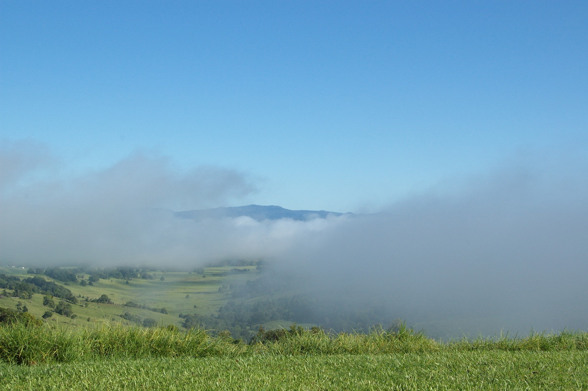 fogmist fog_mist_frost : McLeans Ridges, NSW   29 December 2008