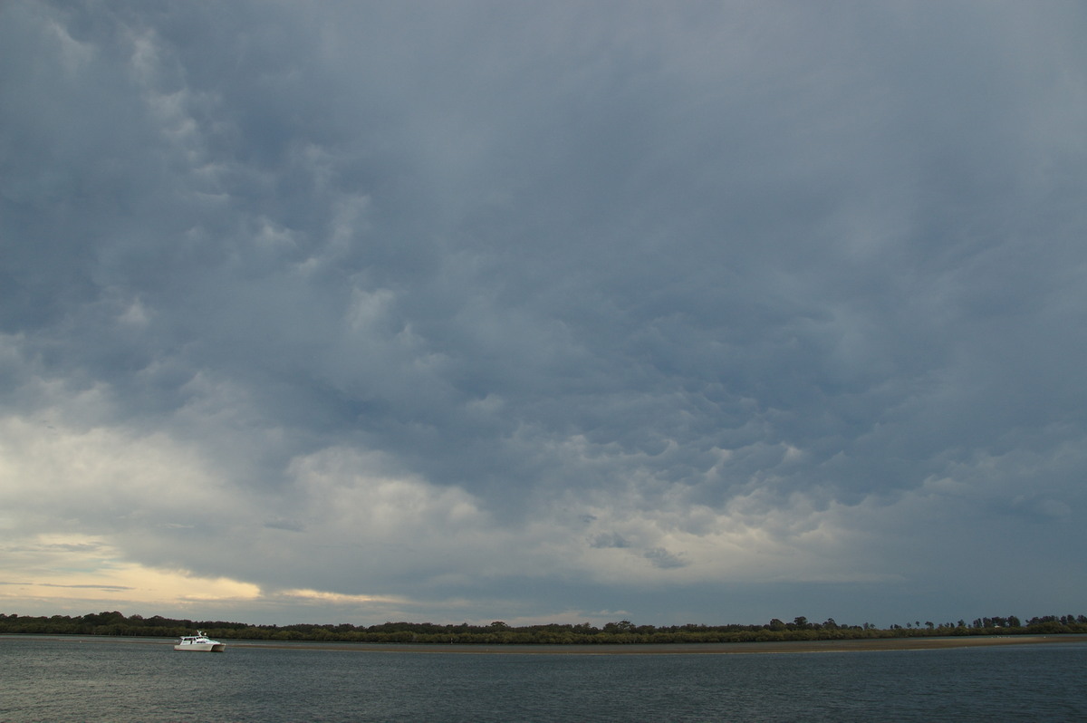 mammatus mammatus_cloud : Ballina, NSW   29 December 2008