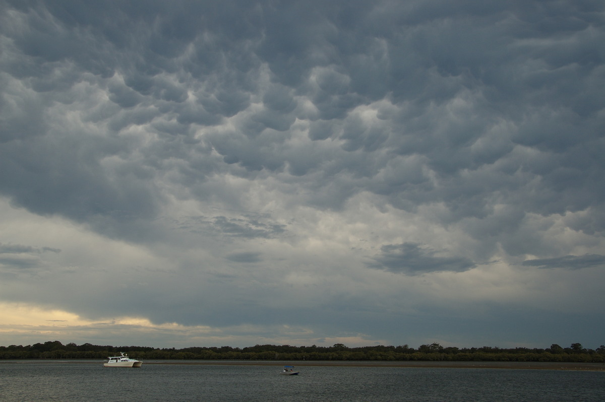 mammatus mammatus_cloud : Ballina, NSW   29 December 2008