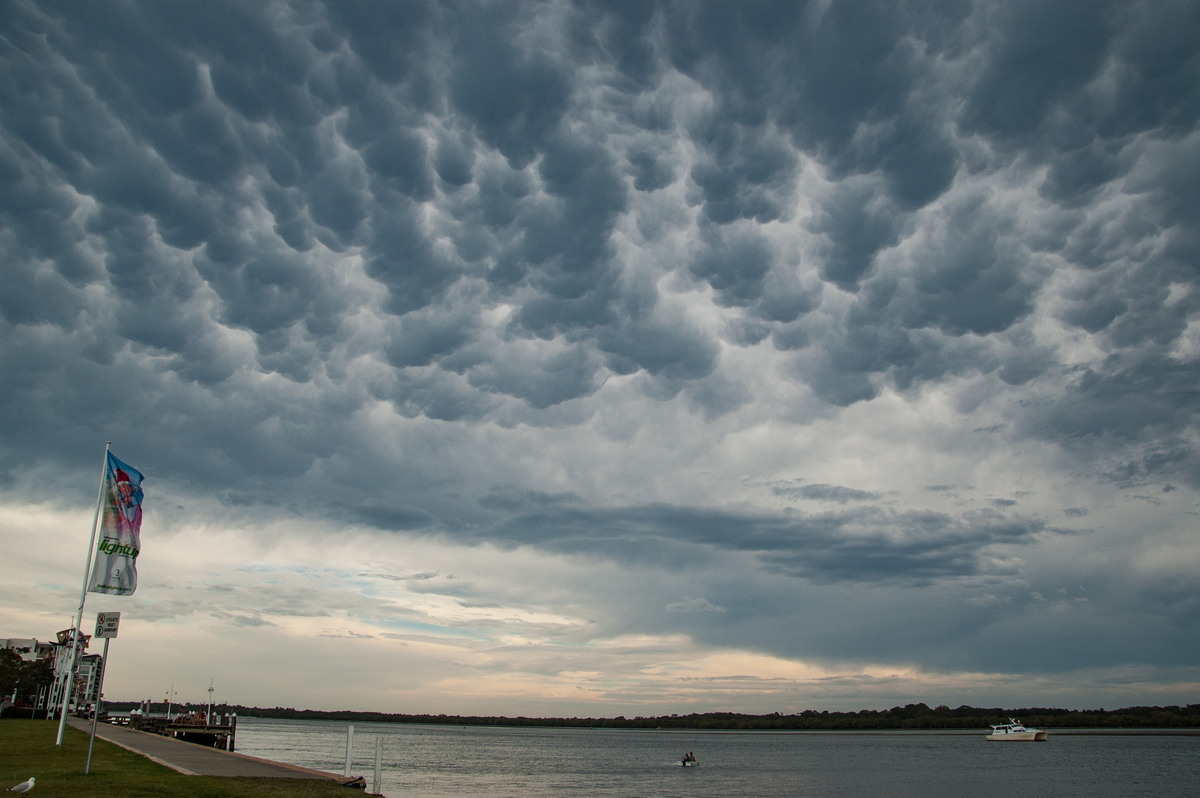 mammatus mammatus_cloud : Ballina, NSW   29 December 2008