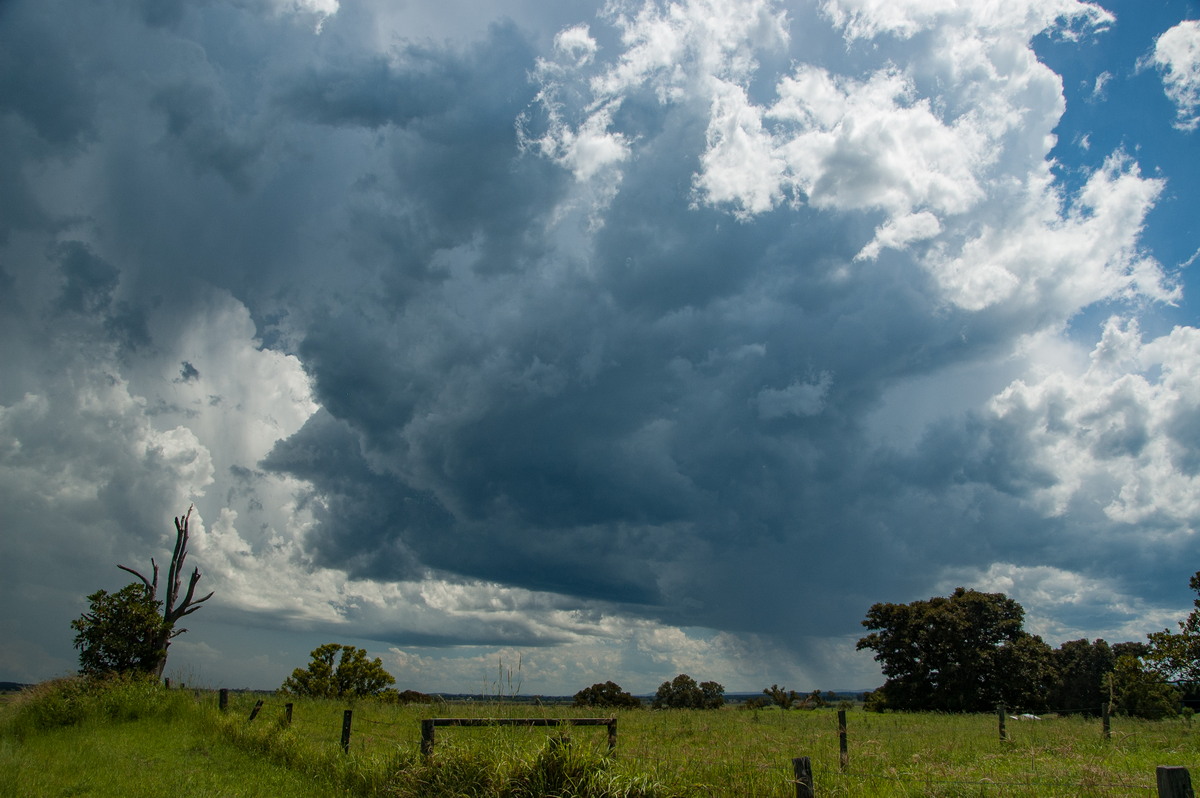 cumulonimbus thunderstorm_base : McKees Hill, NSW   30 December 2008